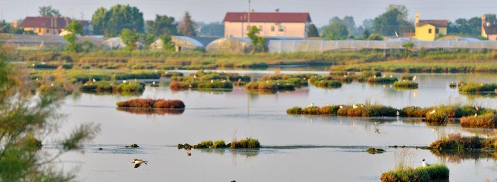 Maribeach Cavallino-Treporti Exteriér fotografie